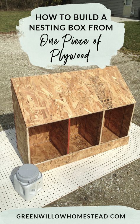 Diy Chicken Coop Ideas, Decorating Backyard, Coop Layout, Reban Ayam, Chicken Coop Ideas, Chicken Coop Plans Free, Coop Decor, Duck Coop, Chicken Coop Decor