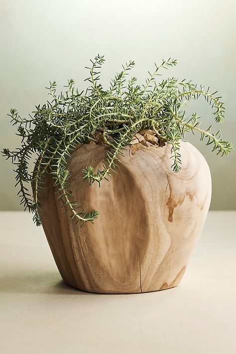 Carved from natural teak and left unfinished to showcase the organic shape of the wood, these low-maintenance planters make one-of-a-kind homes for succulents and drop-in plants. | Teak Root Shoulder Planter in Beige, Size: 12" at Terrain Big Leaf Indoor Plant, Wall Hangings Ideas, Fall Patio Decor, Plants Holder, Pots Garden, Earthy Home Decor, Indoor Tree, Large Plant Pots, Floor Bathroom