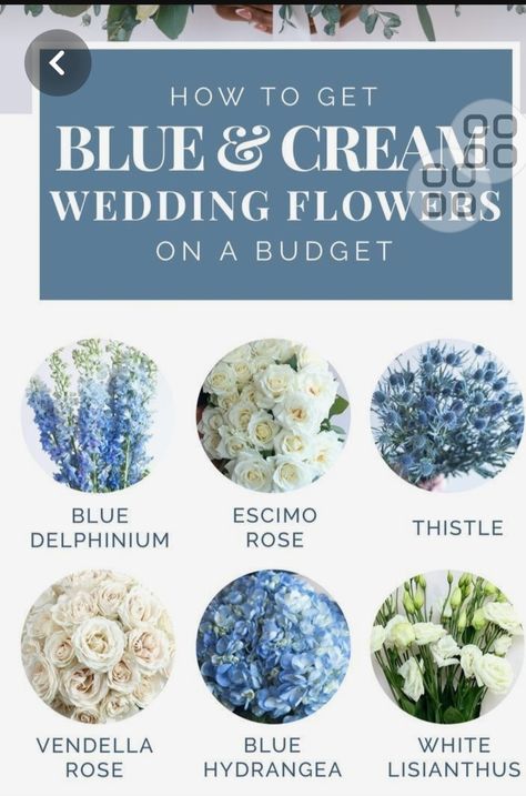 Periwinkle Blue Wedding Theme, Low Budget Wedding Flowers, Flowers For Blue Wedding, Blue Bridal Shower Flowers, French Blue Bouquet, Flowers For Dusty Blue Wedding, Blue Hydrangea And White Rose Bouquet, What Colors Go With Light Blue, Wedding Table Centerpieces Blue