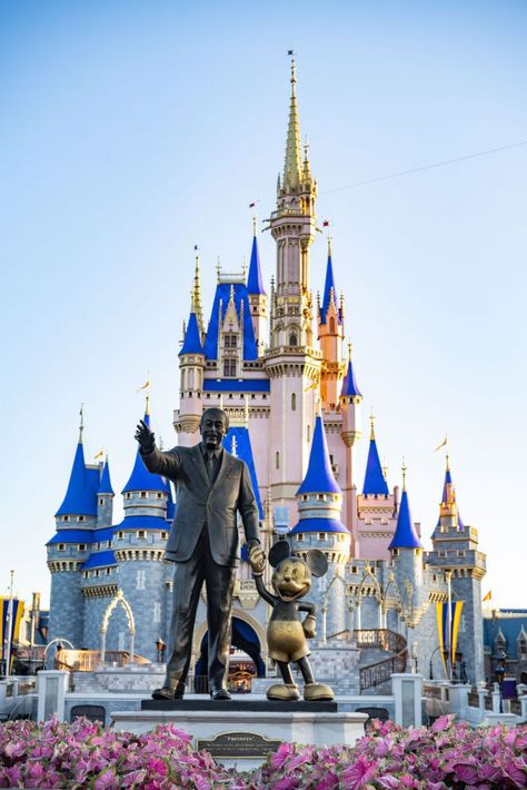 Disney World Fotos, Magic Kingdom Castle, Disney World Castle, Disney Parque, Disney Honeymoon, Foto Disney, Disney Vacation Planner, Castle Pictures, Disney World Pictures