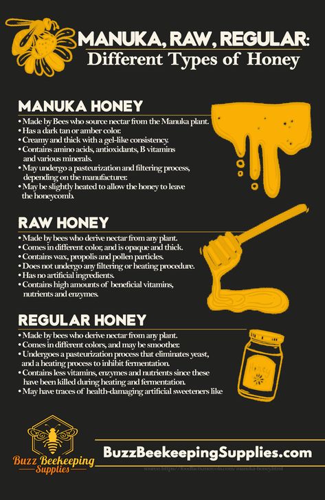 Nature, Different Types Of Honey, Types Of Bellies, Honey Bee Farming, Honey Bee Facts, Honey Bees Keeping, Bee Farming, Bee Friendly Plants, Bee Facts