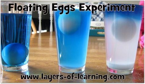 Try this simple floating eggs experiment to see how density can make an egg float at different levels. 6th Grade Science, Montessori, Eggs Experiment, Vetenskapliga Experiment, Floating Eggs, Egg Experiments, Water Experiments, Science Crafts, Kid Experiments