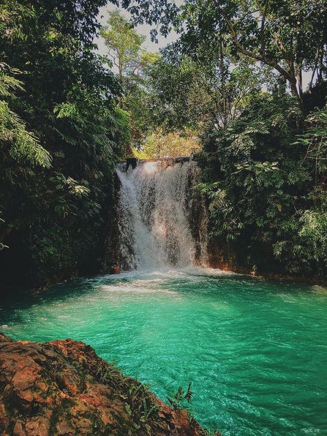 Water Asthetics Photos, Waterfall Picnic, Waterfalls Aesthetic, Waterfall Aesthetic, Pretty Waterfall, Ocean Life Photography, Tropical Waterfall, Waterfall Project, Waterfall Background