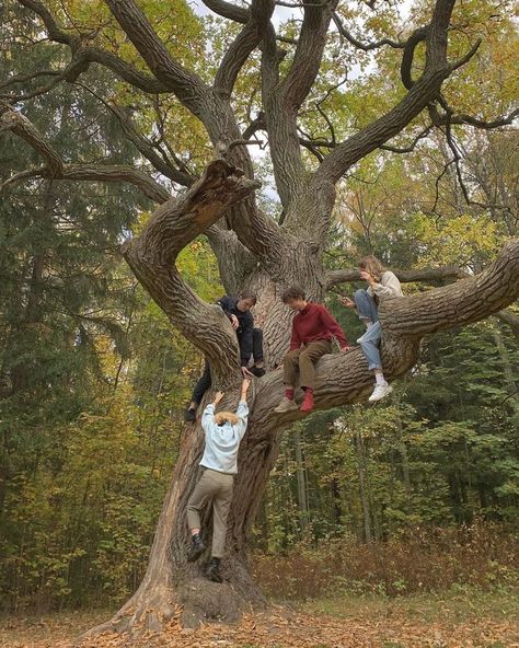 Kos, Friends Group Photo, Walburga Black, Hufflepuff Aesthetic, Teen Friends, Goblin Core, All The Young Dudes, Harry Potter Aesthetic