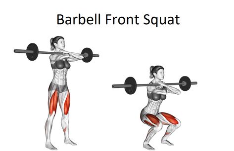 Barbell Front Squat are a multi-joint workout that helps strengthen the legs. The upright position in which the torso is held during the exercise builds core strength. You can activate more quads by loading weight on your front instead of your back. This squat form is great if your shoulders have limited range or you’ve had a shoulder […] Barbell Back Squat, Leg Press Workout, Quadriceps Femoris, Bodybuilding Routines, Squat Form, Back Squat, Barbell Deadlift, Leg Press Machine, Dumbbell Squat