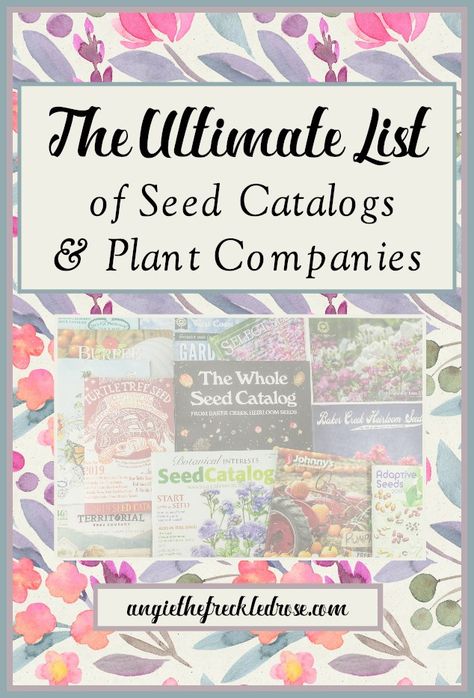 The Ultimate List of Seed Catalogs and Plant Companies | angiethefreckledrose.com Permaculture, Seed Companies, Burgundy Dahlia, Garden Catalogs, Lawn Mowing, Moon Nursery, Plant Catalogs, Seed Catalogs, Diy Gardening