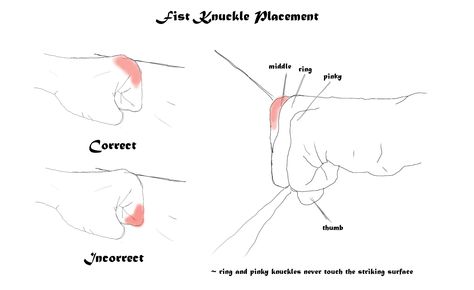 Karate punch knuckle placement for striking a surface Karate Punch, Warrior Mindset, Karate Shotokan, Ip Man, Martial Arts Techniques, Martial Arts Workout, Personal Defense, Martial Arts Training, Combat Sport