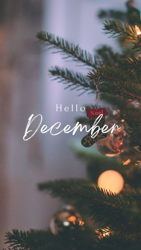 Wallpaper hello December Natal, Hello December Wallpaper Christmas, December Wallpaper Aesthetic, Hello December Wallpaper, Diy Yarn Decor, Hello December Images, December Images, December Wallpaper, Cute Backgrounds For Iphone