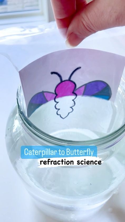 inspired_little_learners on Instagram: SAVE this #scienceathome activity to try! To Do: 1️⃣ Draw a butterfly image on an index card. 🦋 2️⃣ Add color! 3️⃣ Place the card into a… Science Butterfly Activities, Garden Insects Preschool, Crawling Insects Preschool, Bug Science Experiments Preschool, Metamorphosis Preschool Activities, Butterfly Science Activities Preschool, Butterfly Activities Eyfs, Butterfly Cycle Activities, Life Of A Butterfly Preschool