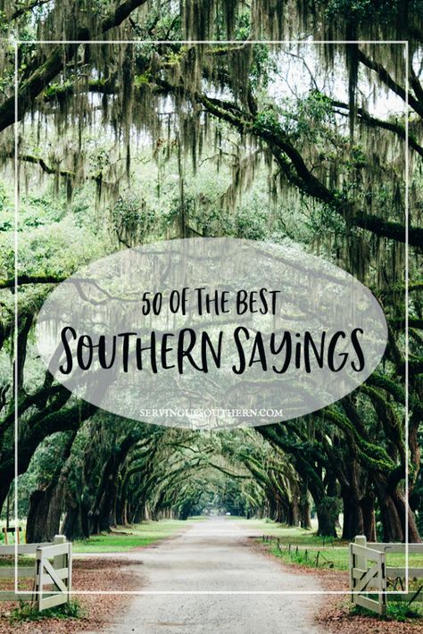 If you're from the South, you'll be familiar with most of these southern sayings, and you'll understand that sometimes, this is the only way to get our point across. #southernsayins #funnysouthernsayings #southernquotes #servingupsouthern #southernisms #sassysouthernsayings #50southernsayings #deepsouthsayings Southern Belle Secrets, Southern Sayings, Funny Southern Sayings, Southern Phrases, Southern Humor, Southern Slang, Southern Christmas, Southern Life, Southern Ladies