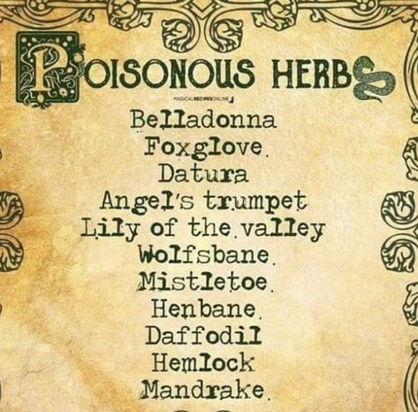 Poisonous Herbs, Celtic Witch, Trumpet Lily, Sejarah Kuno, Magickal Herbs, Witch Herbs, Magia Das Ervas, Angel Trumpet, Witch Spirituality