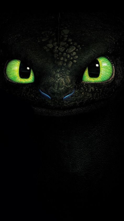 Toothless Wallpaper, Dragon Wallpaper Iphone, Toothless Dragon, Httyd Dragons, Dragon Birthday, Dragon Party, How To Train Dragon, Dragon Trainer, Tapeta Pro Iphone