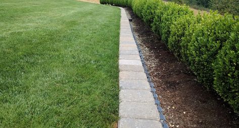 Mowing Strip, Paver Edging, Aerate Lawn, Lawn Care Tips, Natural Stone Pavers, Lawn Edging, Landscape Edging, Lawn And Landscape, Garden Edging