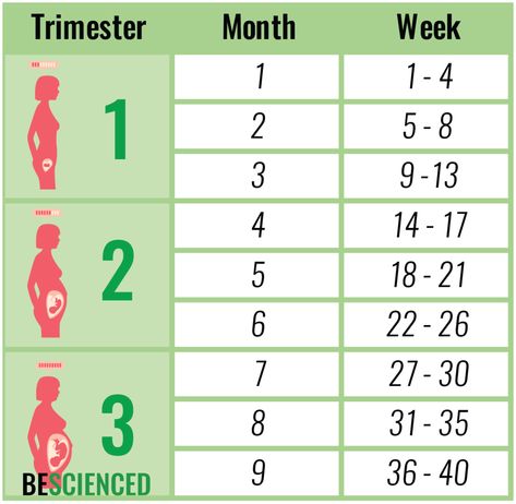 Pregnancy Weeks And Months, Pregnancy In Weeks, 2 Weeks Pregnant, Pregnancy Month, 1 Week Pregnant, 4 Weeks Pregnant, Pregnancy Weeks, Pregnancy Chart, 23 Weeks Pregnant