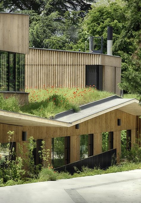 School complex in Rillieux-la-Pape / Tectoniques Architects Sustainable Architecture, Green School, Living Roofs, Eco Architecture, Green Architecture, Rooftop Garden, Roof Garden, Roof Design, Green Roof