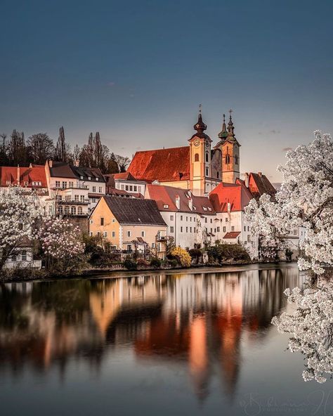 Steyr | Photographe : @conticul sur Instagram via @weloveaustria_official Austria, Steyr, Grand Canyon, Steyr Austria, Incredible Places, Animals Of The World, Fantastic Beasts, Wizarding World, Cat Memes