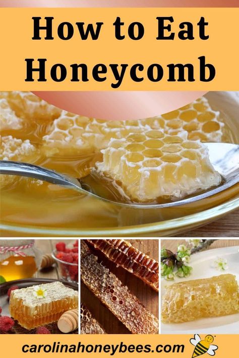 Honeycomb Food, Honeycomb Raw, Raw Honey Recipes, Fresh Honeycomb, Honeycomb Recipe, Honey Dessert, Honey Uses, Fruit Wine, Cheese Pairings