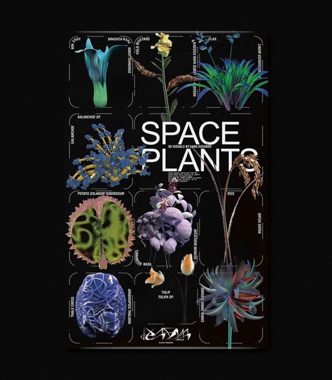 Digital Archive Design, Plant Illustration Design, Plants Graphic Design, Plant Graphic Design, Plant Magazine, Space Plants, Nature Magazine, Stand Out, Plants Stand