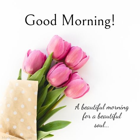 Flowers Good Morning Quotes, Love Good Morning Images Hd, Good Morning Babe Quotes, Flowers Good Morning, Beautiful Good Morning Images, Good Morning Sunday Images, Good Morning Image, Good Morning Snoopy, Love Good Morning Quotes