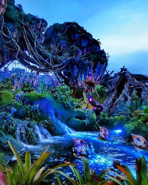 Jan 30, 2019 - Pandora the World of Avatar is the newest land at Disney’s Animal Kingdom. It opens May 27th and thousands of people will be flocking to visit Pandora this year. I’m so excited for you guys… Avatar Disney World, Pandora Animal Kingdom, Avatar Land, Pandora World, Alien Beauty, Avatar Disney, Disney World Aesthetic, Disney World Pictures, Images Disney