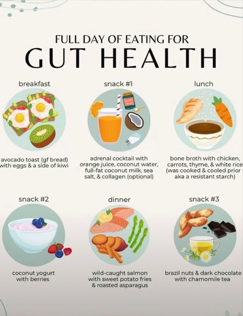 Full Day Eating, Eating For Gut Health, Full Day Of Eating, Different Foods, Gut Health Diet, Day Of Eating, Gut Health Recipes, Healthy Food Motivation, Deilig Mat