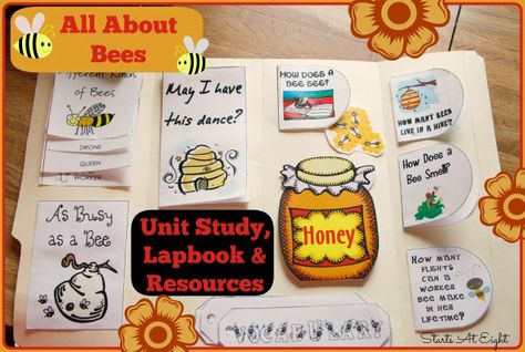 All About Bees Unit Study - StartsAtEight All About Bees, Bees For Kids, Bees Hive, Elementary History, Insect Unit, Unit Studies Homeschool, Bee Activities, Insects Theme, Unit Study