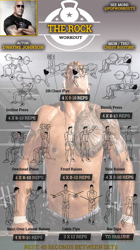 The Rock Chest Routine Dwayne Johnson, Fitness Workouts, Chest Workouts, The Rock Workout, Muscle Abdominal, Workout Chart, Chest Workout, Muscle Fitness, Arm Workout