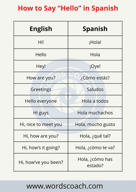 Whether you’re planning a weekend trip to Mexico or thinking about fully committing, the best place to start is by learning how to say “hello” in Spanish.

Different Ways to Say Hello in Spanish (Spain) Mexico, Different Ways To Say Hello, Hello In Spanish, How To Say Hello, Spanish Words For Beginners, Basic Spanish Words, World Language Classroom, Ways To Say Hello, Sign Language Words