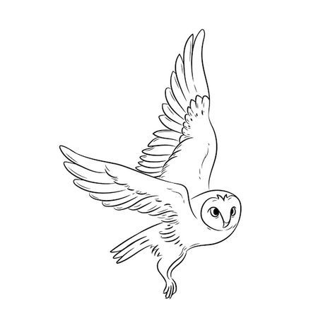 Simple Owl Outline, Flying Owl Illustration, Owl Outline Drawing, Minimal Owl Tattoo, Owl Outline Tattoo, Owl Tattoo Simple, Owl Flying Drawing, Flying Owl Drawing, Flying Owl Tattoo Design