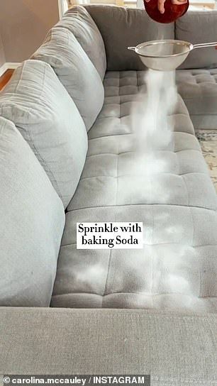 Natural Couch Deodorizer, Cleaning Couch With Baking Soda, Easy To Clean Couch, Diy Microfiber Couch Cleaner, How To Fix Couch Cushions, Natural Couch Cleaner, Puke Smell Out Of Couch, How Do You Clean Microfiber Couches, Remove Pet Odor From Couch