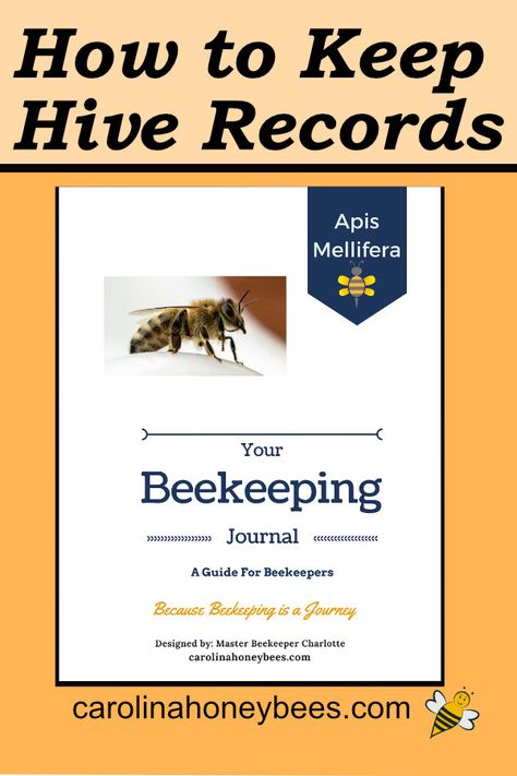 Journal Types, How To Start Beekeeping, Bee Business, Bee Keeping Hives, Honey Bee Farming, Bee Farming, Bird House Plans Free, Honeybee Art, Bee Facts