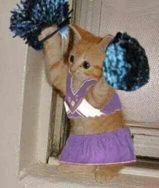 Cheerleader kitty Weight Watchers Core Plan, Cheerleading Memes, Cheerleader Gif, Funny Cheerleader, Cat Superhero, Cheer Funny, Brand New Day, My Dear Friend, Very Funny Pictures