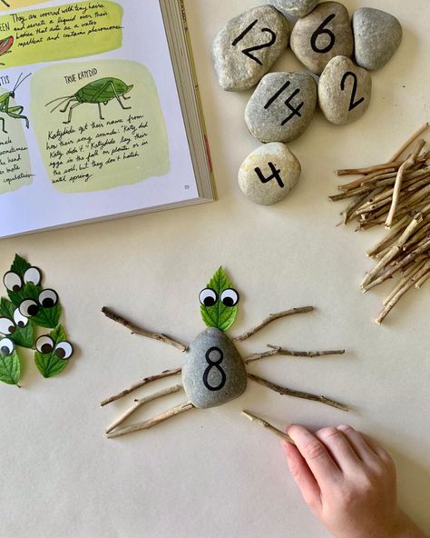 #natureanatomy hashtag on Instagram • Photos and Videos Nature Based Classroom, Symmetry In Nature, Build A Bug, Nature Based Preschool, Numbers Up To 20, Origami Paper Flowers, Bug Activities, Nature Journals, Maluchy Montessori