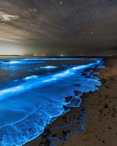 Australia on Instagram: “It's official, nature is pretty darn magical 😍✨ @davesyd_ was lucky enough to witness this spectacular sight at #NorahHead in the…” Bioluminescence Water, Glowing Plankton, Jervis Bay Australia, Bioluminescent Plankton, Sea Sparkle, Algae Bloom, Places In Australia, Glow Water, Blue Algae