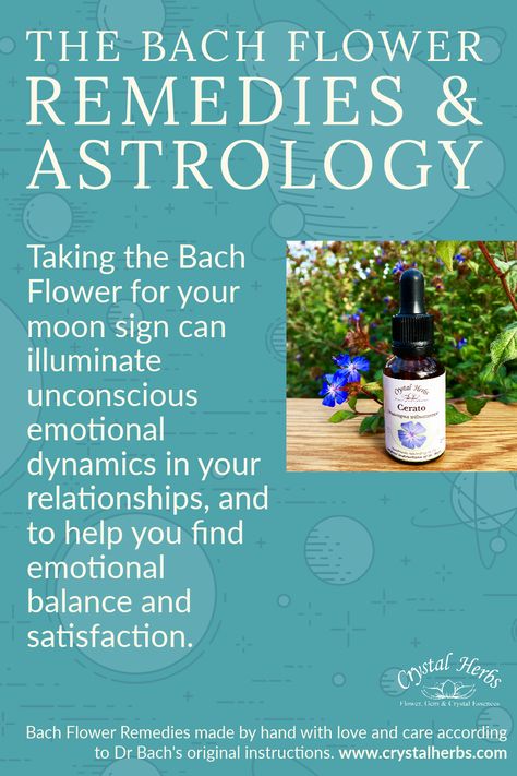 Did you know that there’s a Bach Flower Remedy for each of the 12 astrological signs? Towards the end of his life, Dr Bach began exploring the link between the first 12 essences he discovered (The Twelve Healers) and astrology, specifically the 12 astrological signs. Learn more in our blog. #bachflowerrmeedies #drbach #soulastrology #bachfloweressences #bachflowertherapy Flower Essences Remedies, Moon Sign Astrology, Tissue Salts, Bach Flowers, Flower Remedies, Bach Flower Remedies, Flower Remedy, Astrological Signs, Lack Of Energy