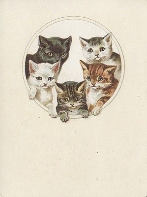 Vintage Cats Illustration, Antique Cat Illustration, Vintage Cats Wallpaper, Vintage Cat Pictures, Victorian Cat Illustration, Vintage Cat Postcard, Vintage Cat Print, Vintage Kitten Illustration, Vintage Cat Drawing