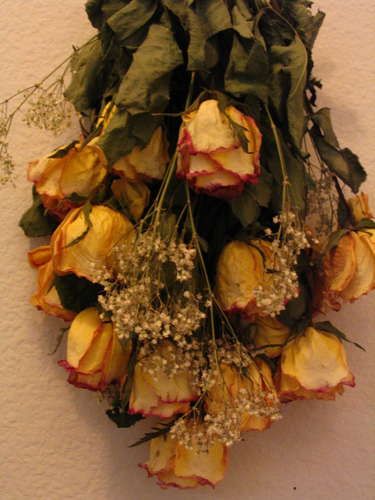 What's better then flowers?...Dried Flowers Dried Roses, Mother's Day Bouquet, Drying Roses, Dozen Roses, Fresh Flower Bouquets, Bouquet Preservation, Bouquet Of Roses, Preserved Roses, Dry Flowers