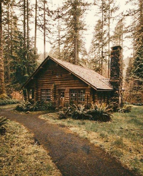 Wooden House In Forest, Small Old House, Old Wooden House, Wooden Shack, Cabin Small, Old Cabin, Old Cabins, Log Cabin Living, Cabin Aesthetic