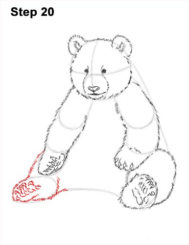 Image result for sketch bear sitting shapes Bear Sitting Down Drawing, Bear Sitting Illustration, Sitting Bear Drawing, Bear Sitting Drawing, How To Draw A Bear, Bears Drawing, Draw Panda, Draw A Panda, Panda Sitting