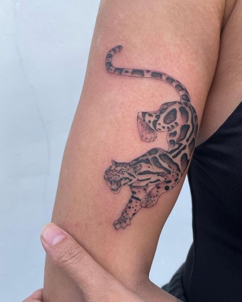 Sam Mancino on Instagram: “Clouded leopard , thank you Gabby - - #cloudedleopard #leopardtattoo #miamitattoo #floridatattooartist #neofelisnebulosa” Tattoos, Instagram, Brisbane Tattoo, Blossom Tattoo, Surfers Paradise, Tattoo Studio, Flower Tattoo, Blossom, On Instagram