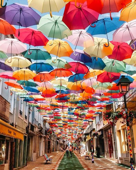 22 Celebrations of Culture From Around the World | AgitÁgueda Porto, Nature, Floating Lantern Festival, Culture Around The World, Different Cultures Around The World, Culture Inspiration, Culture Project, Colors Of The World, Celebrations Around The World