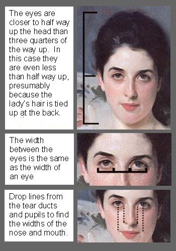 Drawing Hair, Drawing Tutorials, Kunst Inspiration, Singer Sargent, Anatomy Reference, Painting Lessons, Anatomy Art, Art Tutorial, Painting Tips