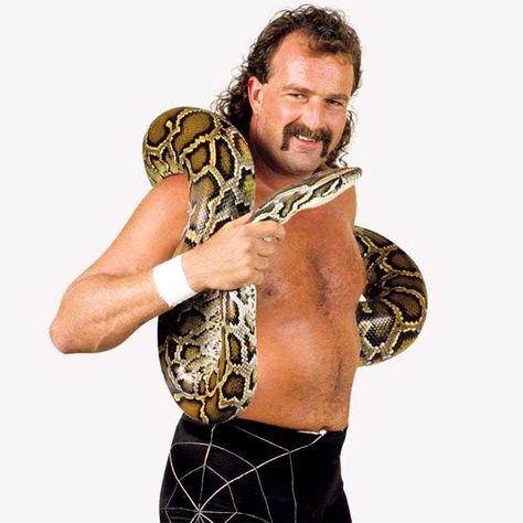 Jake the Snake 80s Wrestling, Wwe Icons, Wcw Wrestlers, John Cena Wrestling, Wrestling Rules, Jake The Snake, Wrestling Pics, Jake The Snake Roberts, Wwe Undertaker