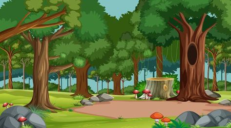 Forest scene with various forest trees F... | Free Vector #Freepik #freevector #water #wood #leaf #cartoon Jungle Cartoon, Jungle Images, Animal Cartoon Video, Forest Cartoon, Photoshop Backgrounds Backdrops, Forest Backdrops, Forest Background, Landscape Background, Forest Trees