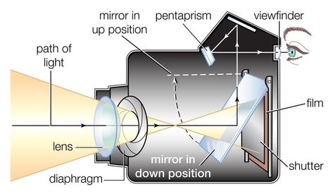 Cross section of a single-lens reflex (SLR) camera with a flip mirror Camera Tips, Reflex Camera, Camera Diagram, Parts Of A Camera, Digital Mirror, Camera Tips And Tricks, Mirror Camera, Camera Tricks, Digital Camera Accessories