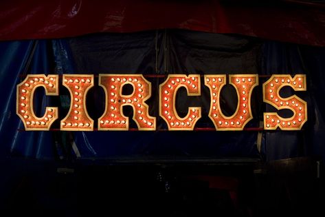 Circus lettering Circus Lettering, Circus Letters, Carnival Wedding Theme, Circus Signs, Dark Carnival, Barnum Bailey Circus, Carnival Wedding, Retail Lighting, Circus Animals