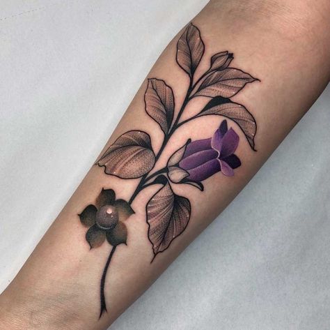 Deadly Nightshade Tattoo, Nightshade Tattoo, Belladonna Flower, Nightshade Flower, Witchcraft Tattoos, Deadly Nightshade, Tattoo Shading, Landscape Tattoo, Spooky Tattoos