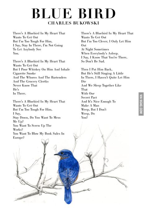 Charles Bukowski Blue Bird Bluebird Charles Bukowski Poem, Bluebird By Charles Bukowski, Blue Feelings Aesthetic, Bukowski, Bluebird Poem Bukowski, Blue Bird Quotes, Bukowski Quotes Poetry, Blue Bird Charles Bukowski, Bluebird Bukowski