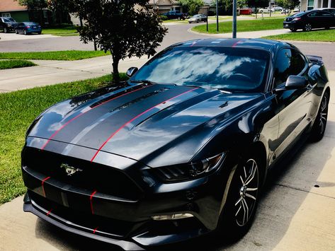 2017 Ford Mustang Matte Black red trim stripes on Charcoal Grey body Ford Mustang Matte Black, Ford Mustang Gt Red And Black, Black And Red Mustang, Matte Black Mustang, Purple Audi, Black Mustang Gt, Mustang Stripes, Mustang 2018, Car Stripes