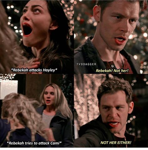 Originals Vampire, Hayley And Klaus, Klaus From Vampire Diaries, Vampire Diaries Memes, Tapeta Harry Potter, Vampier Diaries, The Originals Tv, Vampire Diaries Stefan, Vampire Diaries Quotes